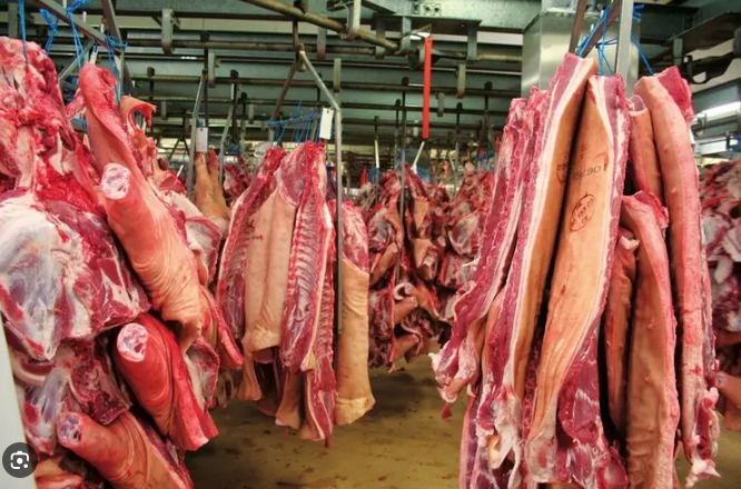 Carne en-gros - abator – volume industriale (porc | pui | vita)