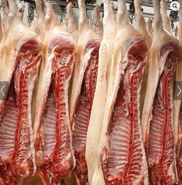 Carne en-gros - abator – volume industriale (porc | pui | vita)