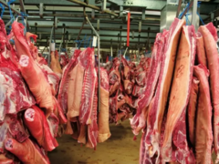 Carne En-gros -ABATOR – VOLUME INDUSTRIALE (PORC | PUI | VITA)