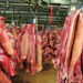 Carne en-gros - abator – volume industriale (porc | pui | vita)